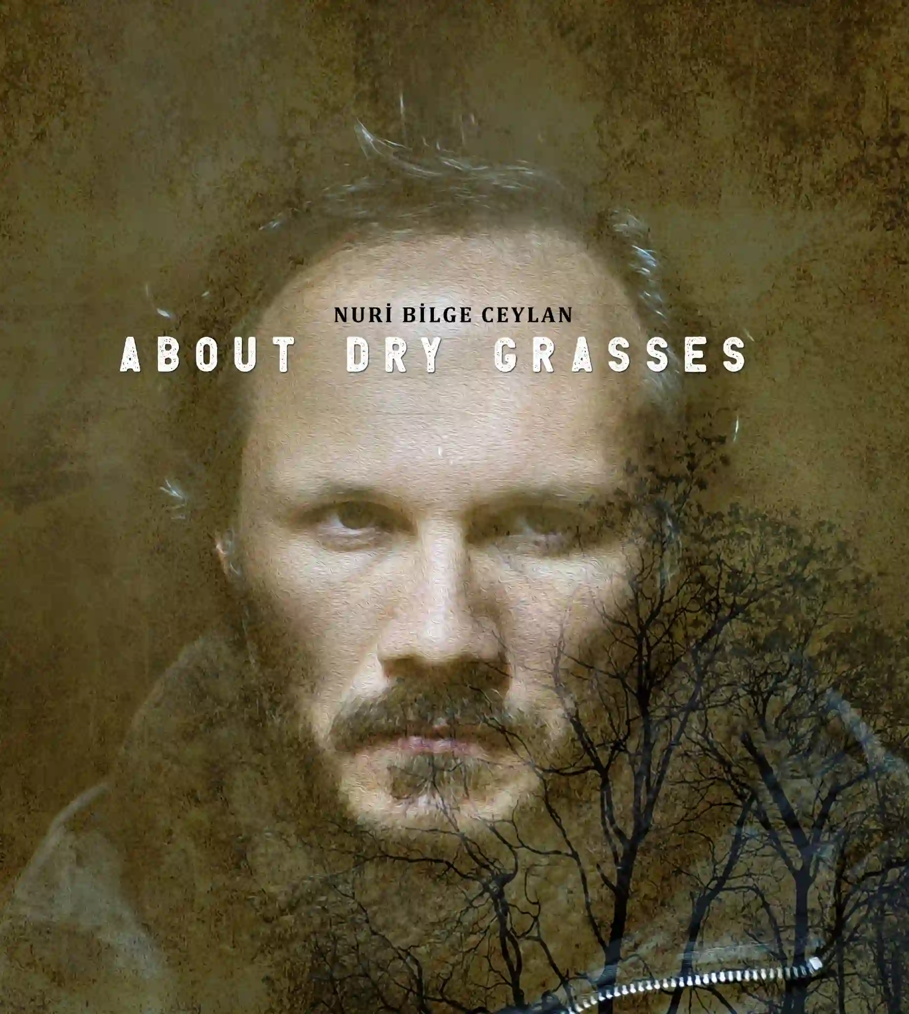 About Dry Grasses 01