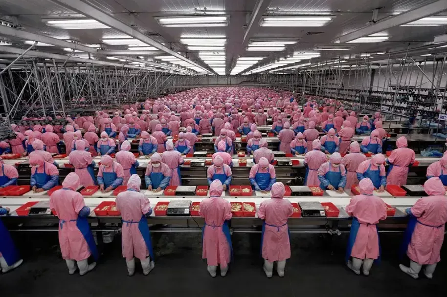 3-Fine art Photography-Andreas Gursky
