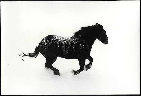 21-Fine Art Photography-Claudio Cambon