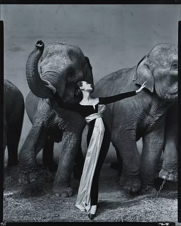 15-Fine Art Photography-Richard Avedon (1)