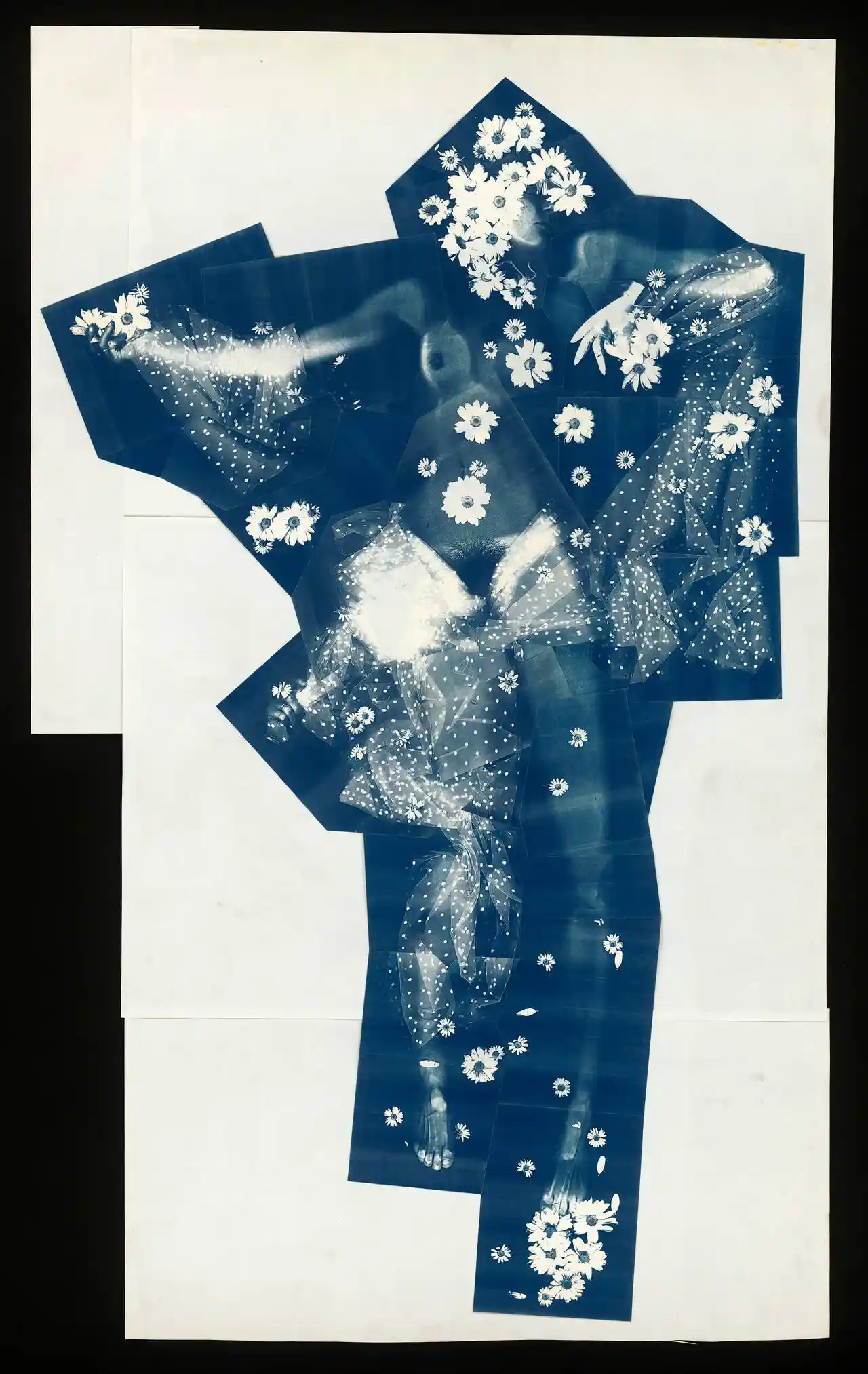 Photo-Based Art 36-Helen Chadwick