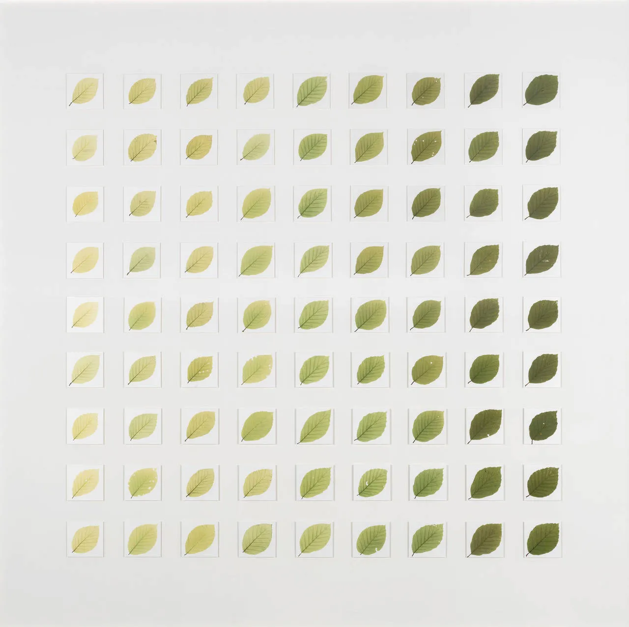 Photo-Based Art 32-Garry Fabian Miller