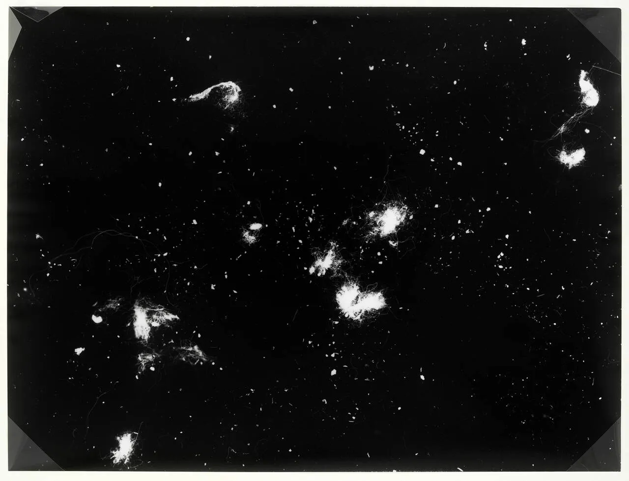 Photo-Based Art 29-Cornelia Parker