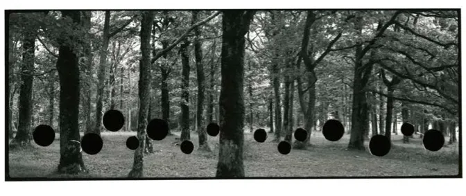 Photo-Based Art 14-Aliki Braine