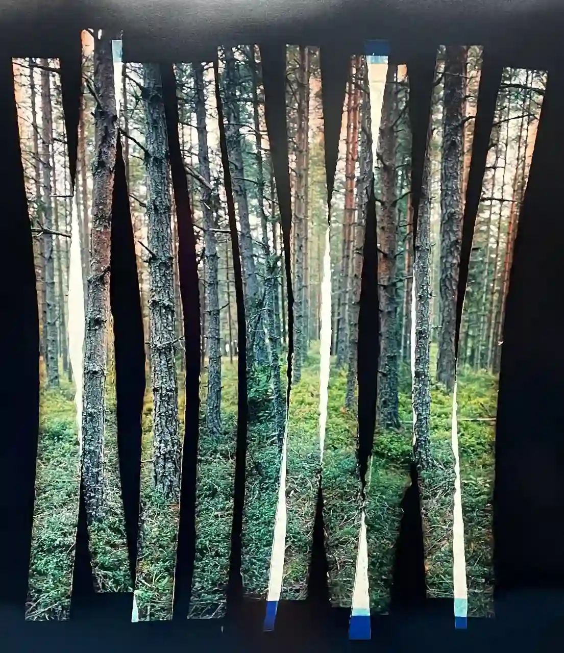 Photo-Based Art 12-ALIKI BRAINE