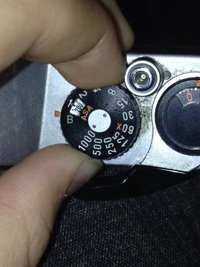 Film Photography (17)