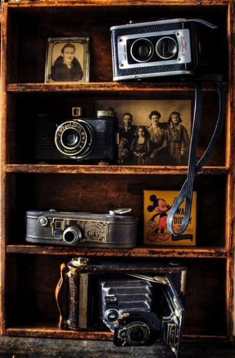 Film Photography (12)