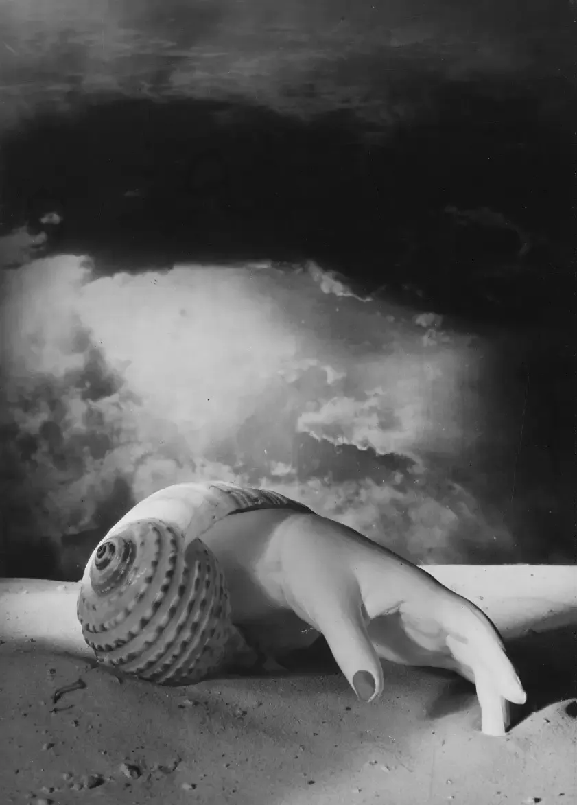 Photomontage 18-Dora Maar-Untitled (ShellHand)