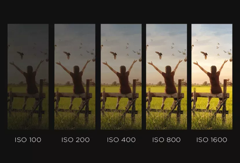 Camera Buying Guide 12-ISO-Range