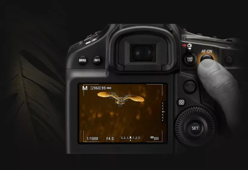 Camera Buying Guide 23-Wild Life Photography-autofocus