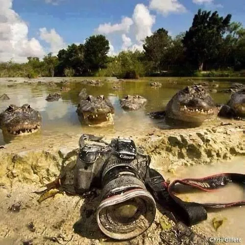 Broken Camera