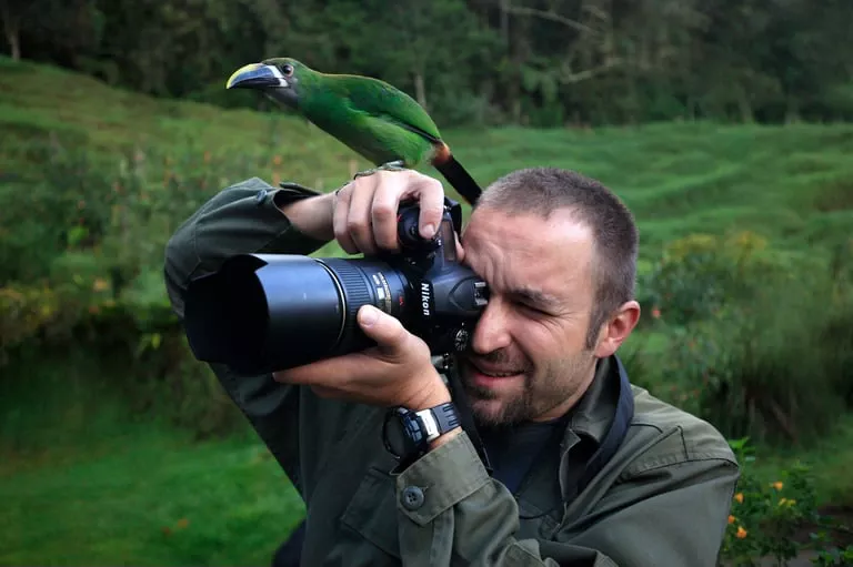 Wild Life Photography 00