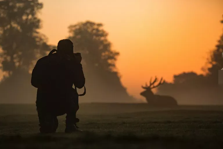 wildlife-photography-11
