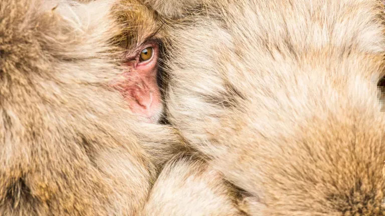 wildlife-photography-26