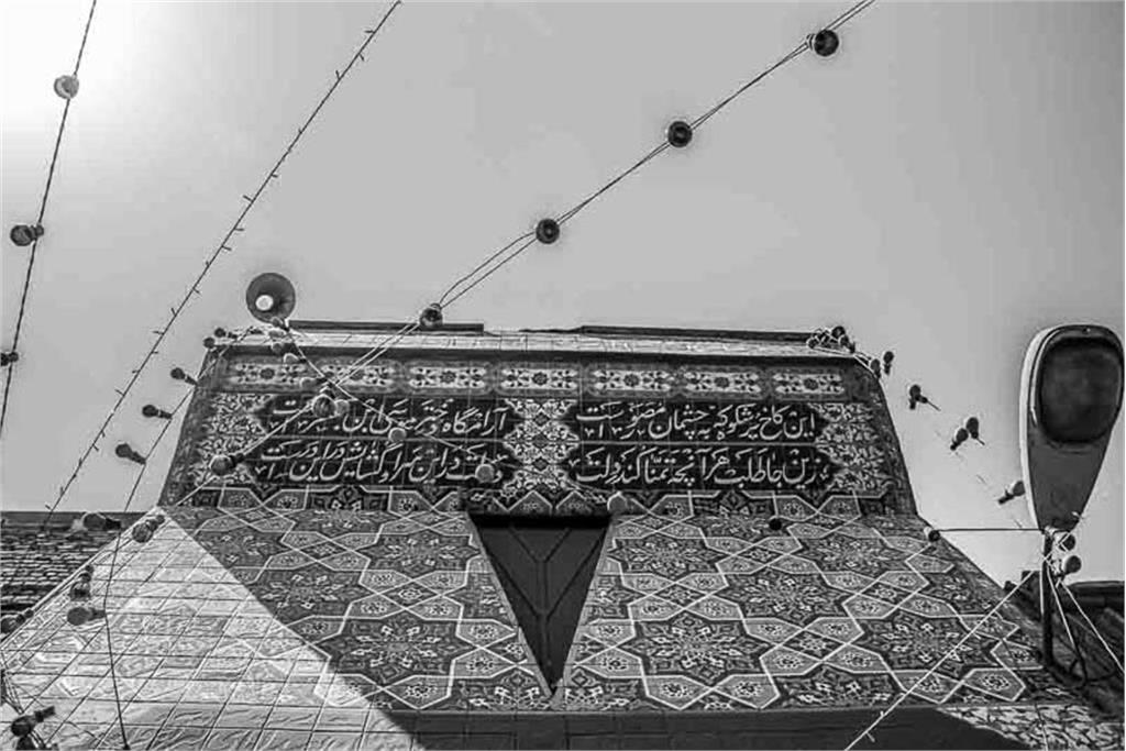 از مجموعه عکس پامناری دیگر اثر معصومه شصتی 5