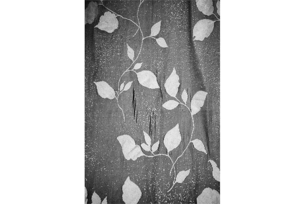 باران‌های موسمی هرگز از کوه‌ها نمی‌گذرند - کامیلو پاسکوآرلی 4