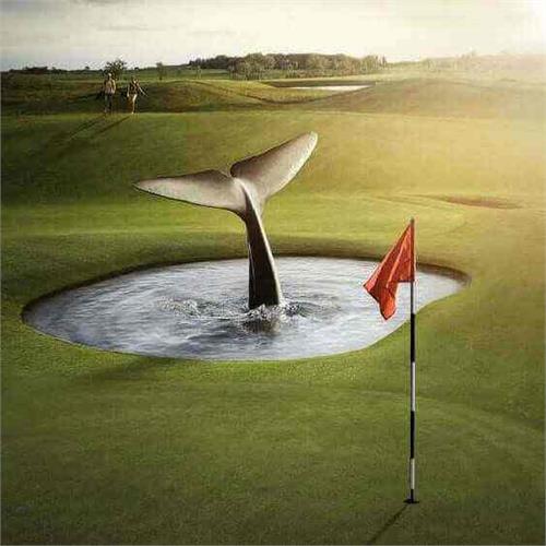 کلاس کاربردهای فتومونتاژ در عکاسی تبلیغاتی