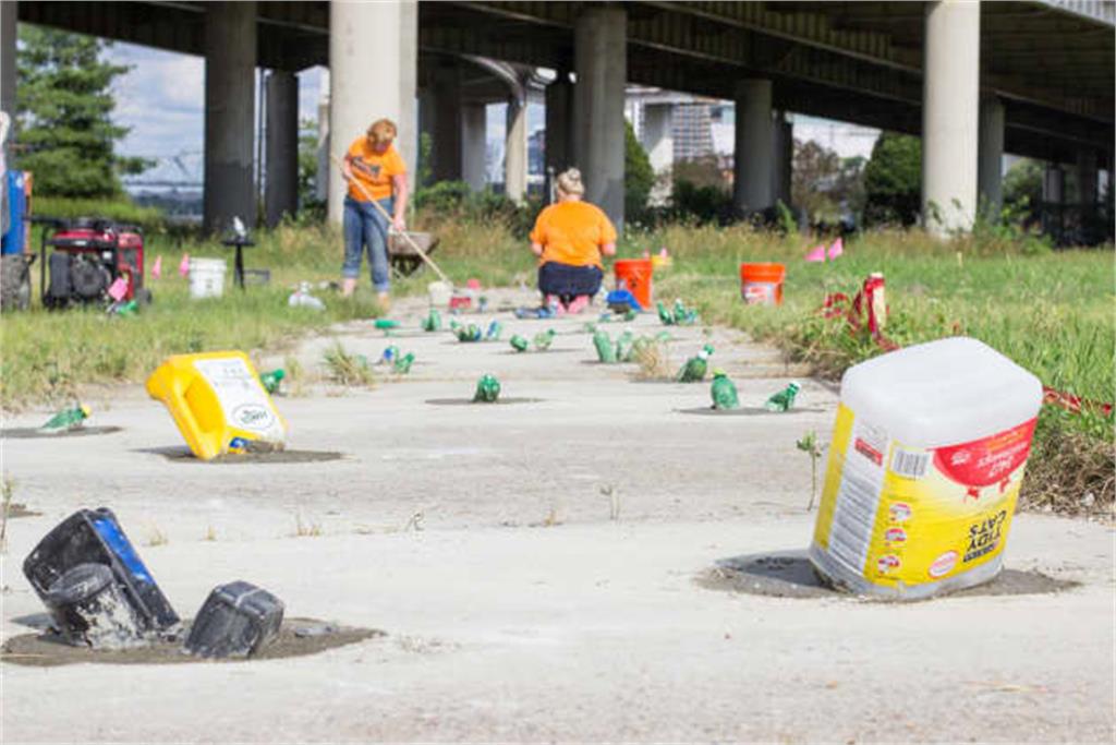 اثر جین شین هنرمند معاصر 2