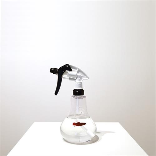 اثر میونگ بوم کیم