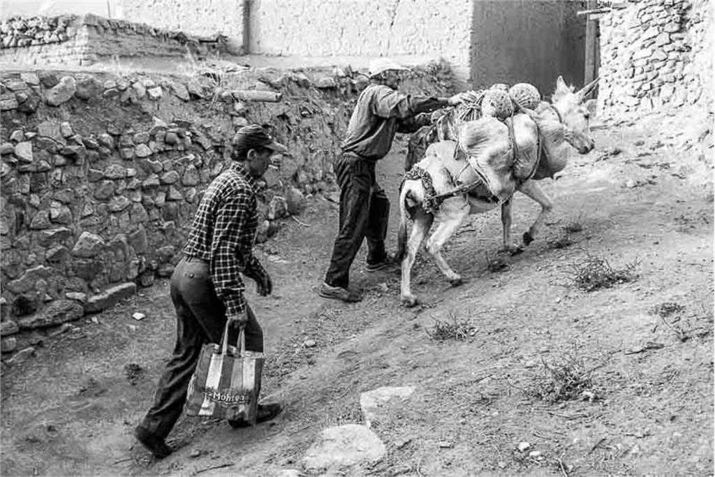 از مجموعه عکس بهشت کودکی من اثر شایسته محمدی 3