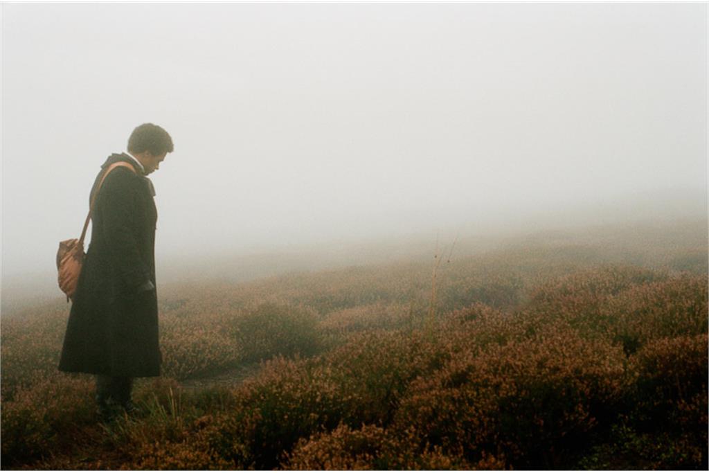 فیلم بلندیهای بادگیر