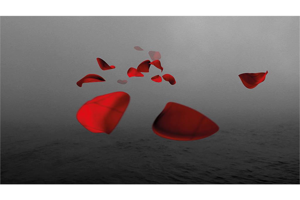 آثار سیلویا ریوا