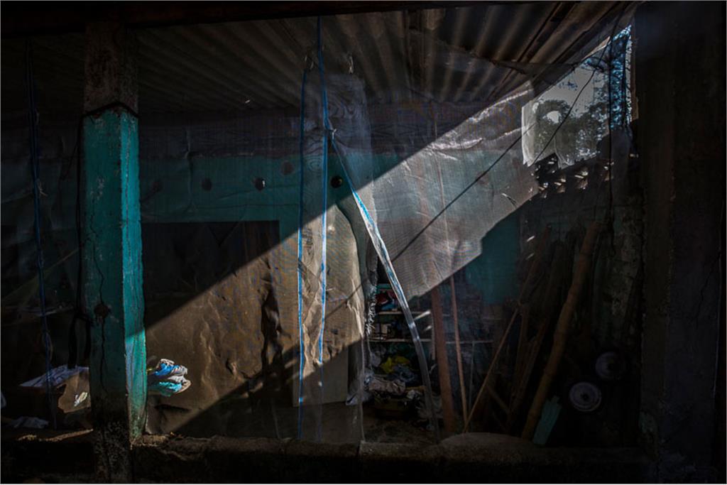 اثر یائل مارتینز  13