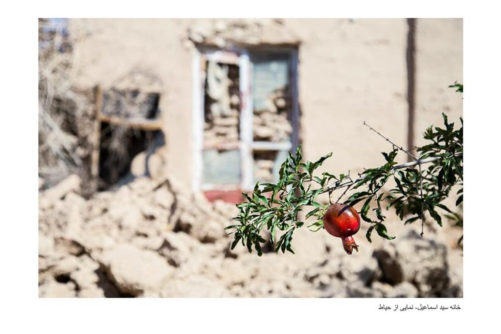 نامیرا - مجموع عکسی از زهرا طباطبایی 10