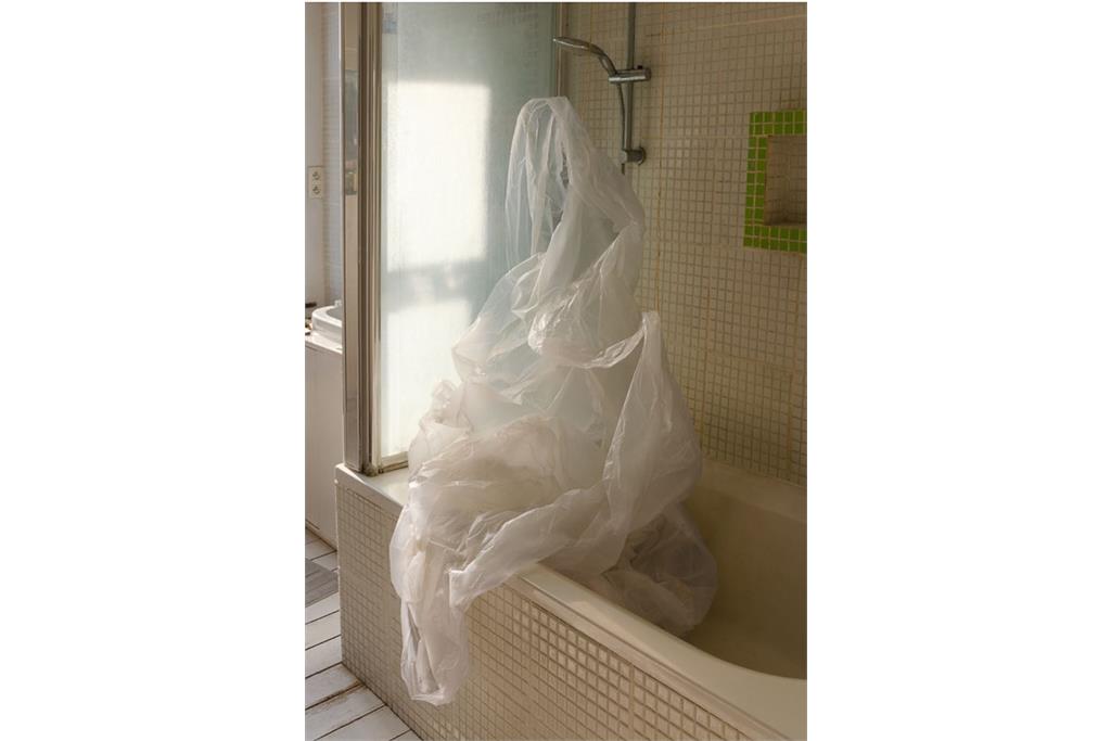 حمام پلاستیکی از مجموعه " بازی در زمان کرونا" اثر "لوکاس لفلر"