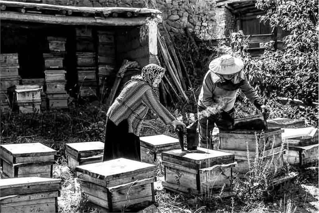 از مجموعه عکس بهشت کودکی من اثر شایسته محمدی 8