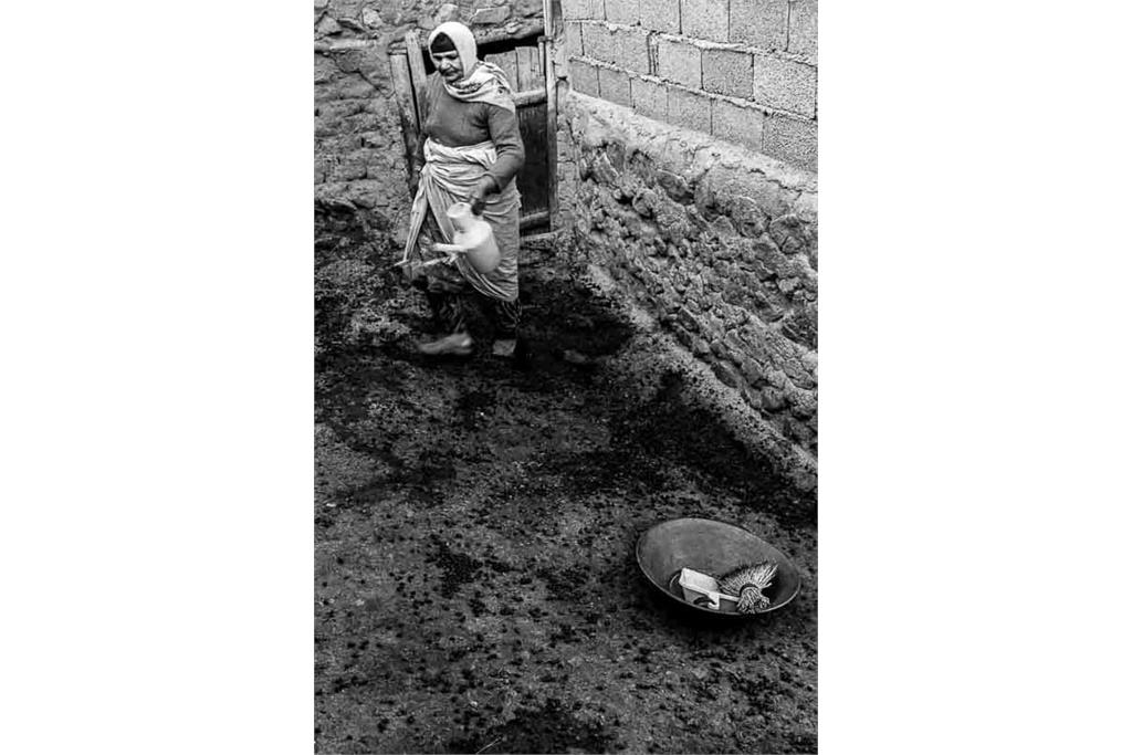 از مجموعه عکس بهشت کودکی من اثر شایسته محمدی 7