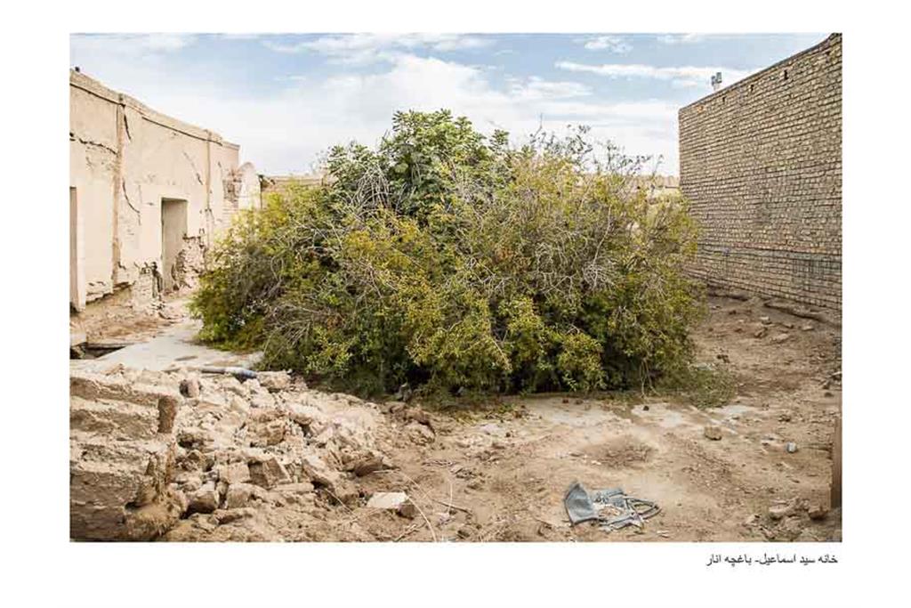 نامیرا - مجموع عکسی از زهرا طباطبایی 18