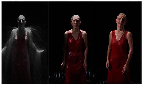 An Ocean Without a Shore - Bill Viola