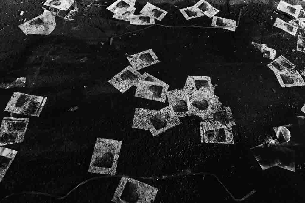 چراغها خواهند مرد مجموعه ای از بنفشه عرشی 8