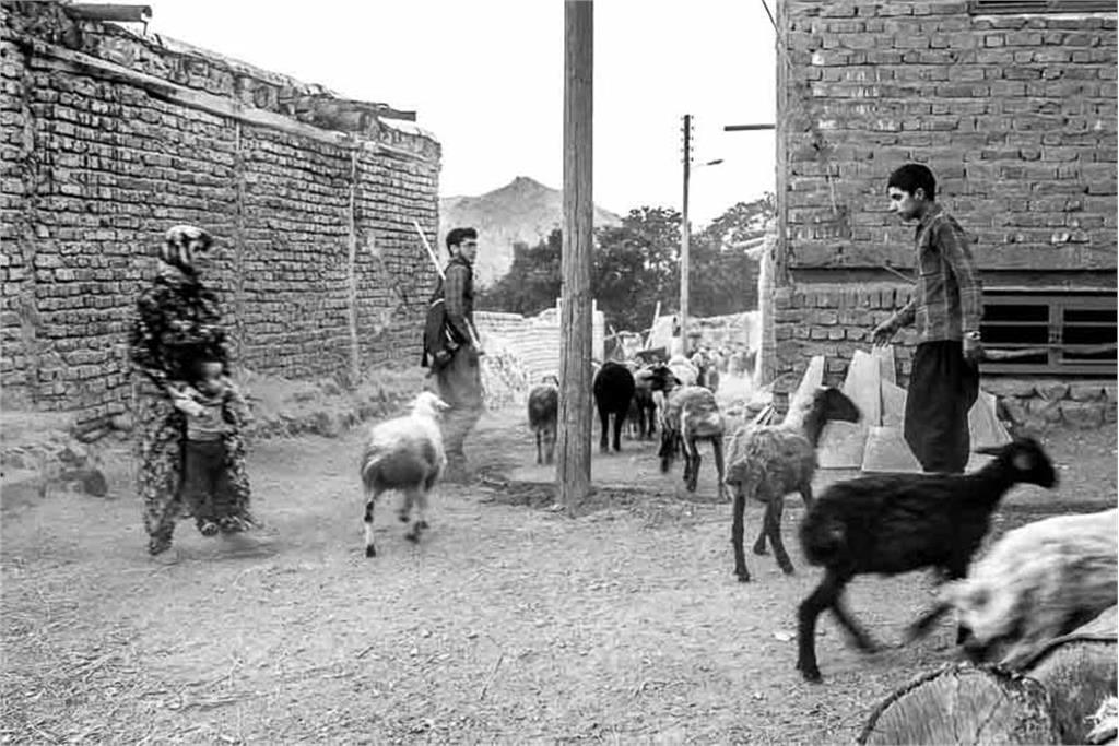 از مجموعه عکس بهشت کودکی من اثر شایسته محمدی 6