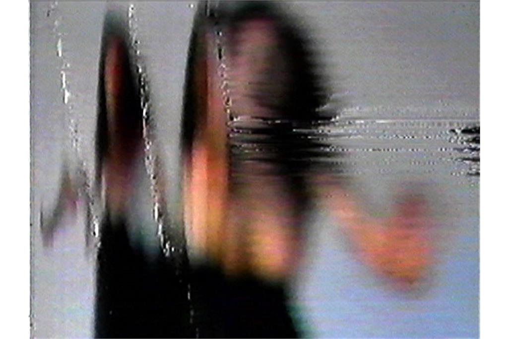 پیپیلوتی ریست 6