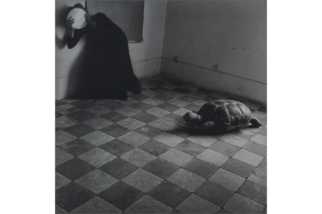 سلف پرتره‌های فرانچسکا وودمن 7