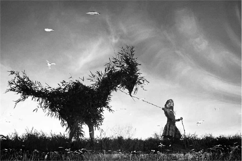 عکس‌های آلن لابویل