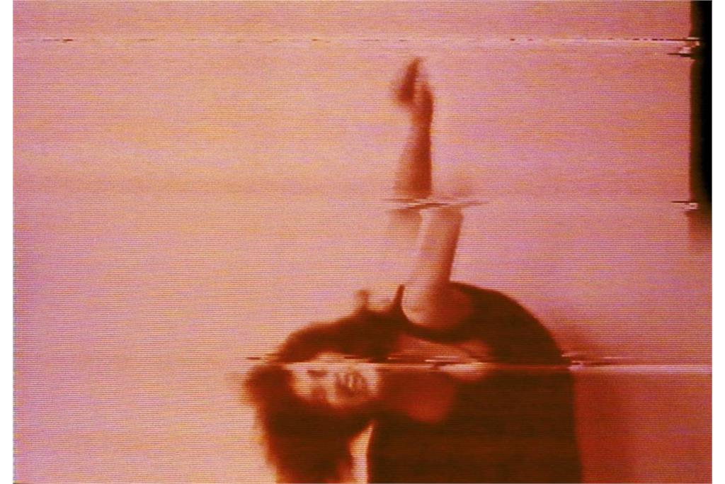 پیپیلوتی ریست 5