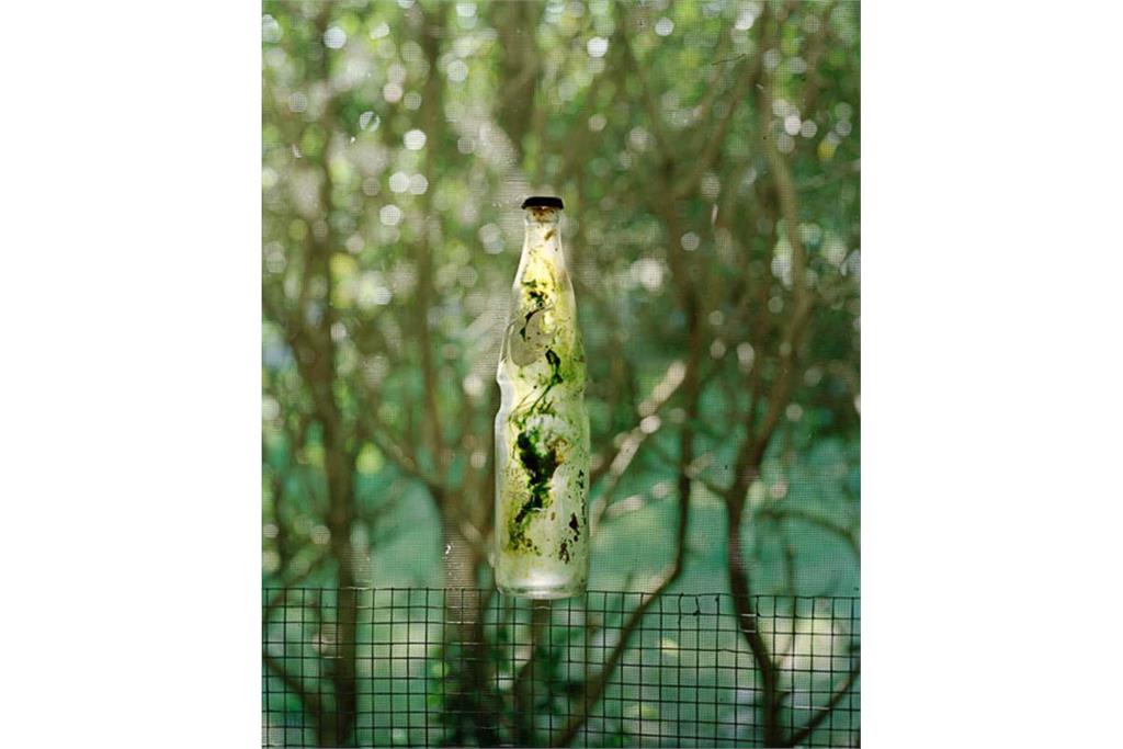 عکس‌های سوزان ورشام از جنوب آمریکا 9