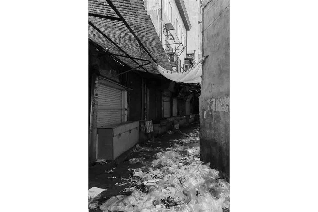 چراغها خواهند مرد مجموعه ای از بنفشه عرشی 12