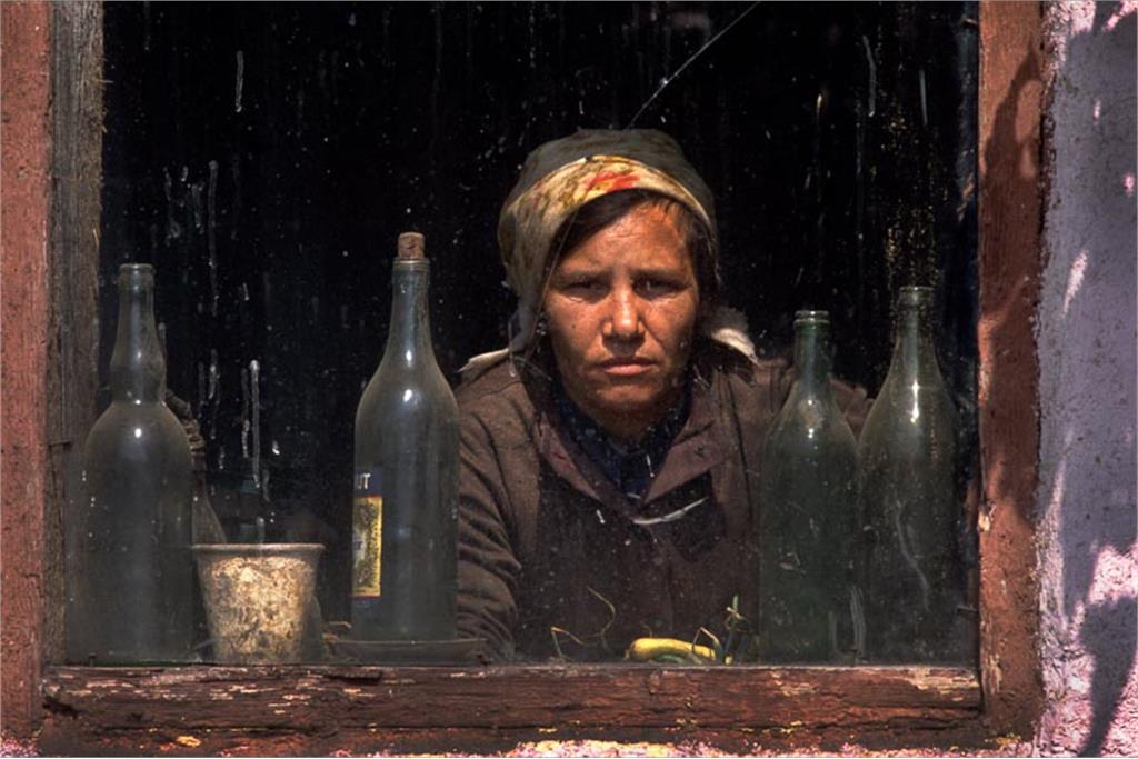 درباره  پیترترنلی