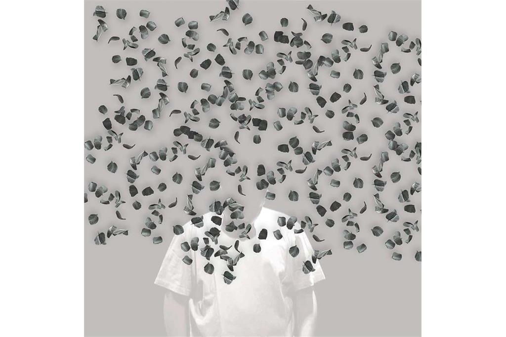 اثر سیلویا ریوا  12