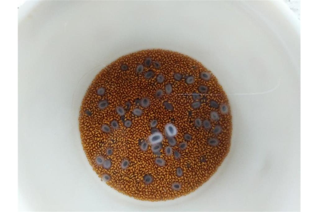 مجموعه تا وقتی که نمی خواستمش 14