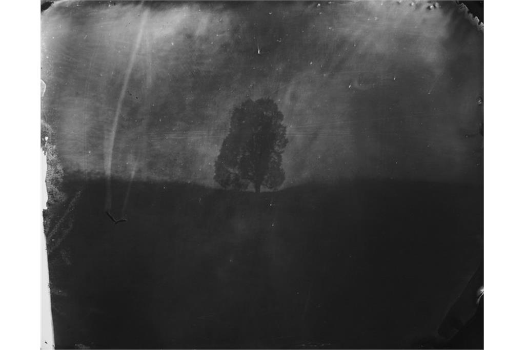 عکسی از مجموعه متفکرانه خیره شدن به جان دادن‌ او از سالی من 11