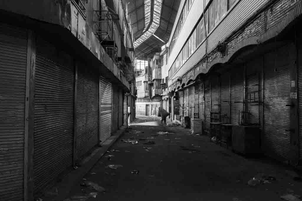 چراغها خواهند مرد مجموعه ای از بنفشه عرشی 2