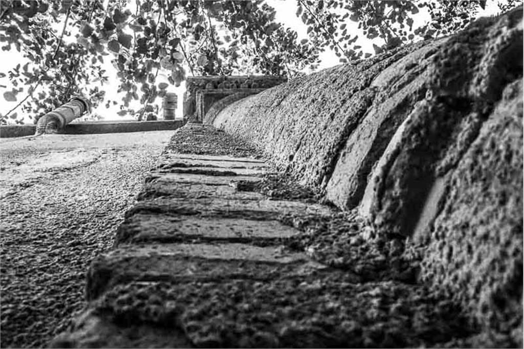 از مجموعه عکس پامناری دیگر اثر معصومه شصتی 4