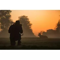 wildlife-photography-11