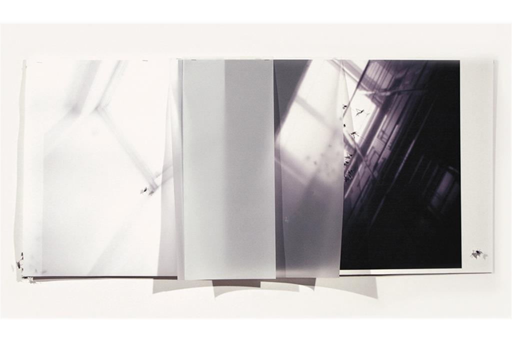 آثار سیلویا ریوا