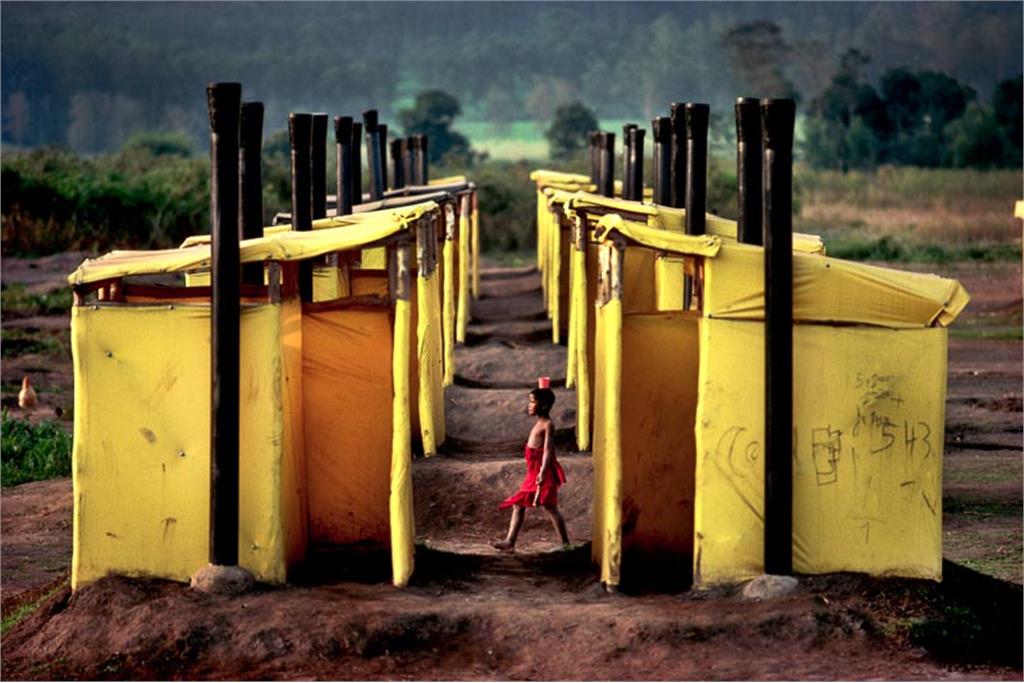 درباره  پیترترنلی